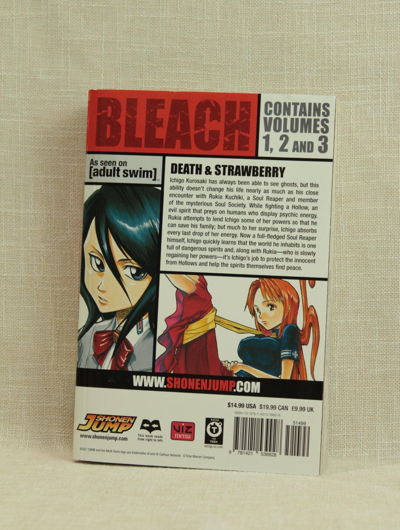 Bleach (3-in-1 Edition), Vol. 1: Includes vols. 1, 2 & 3