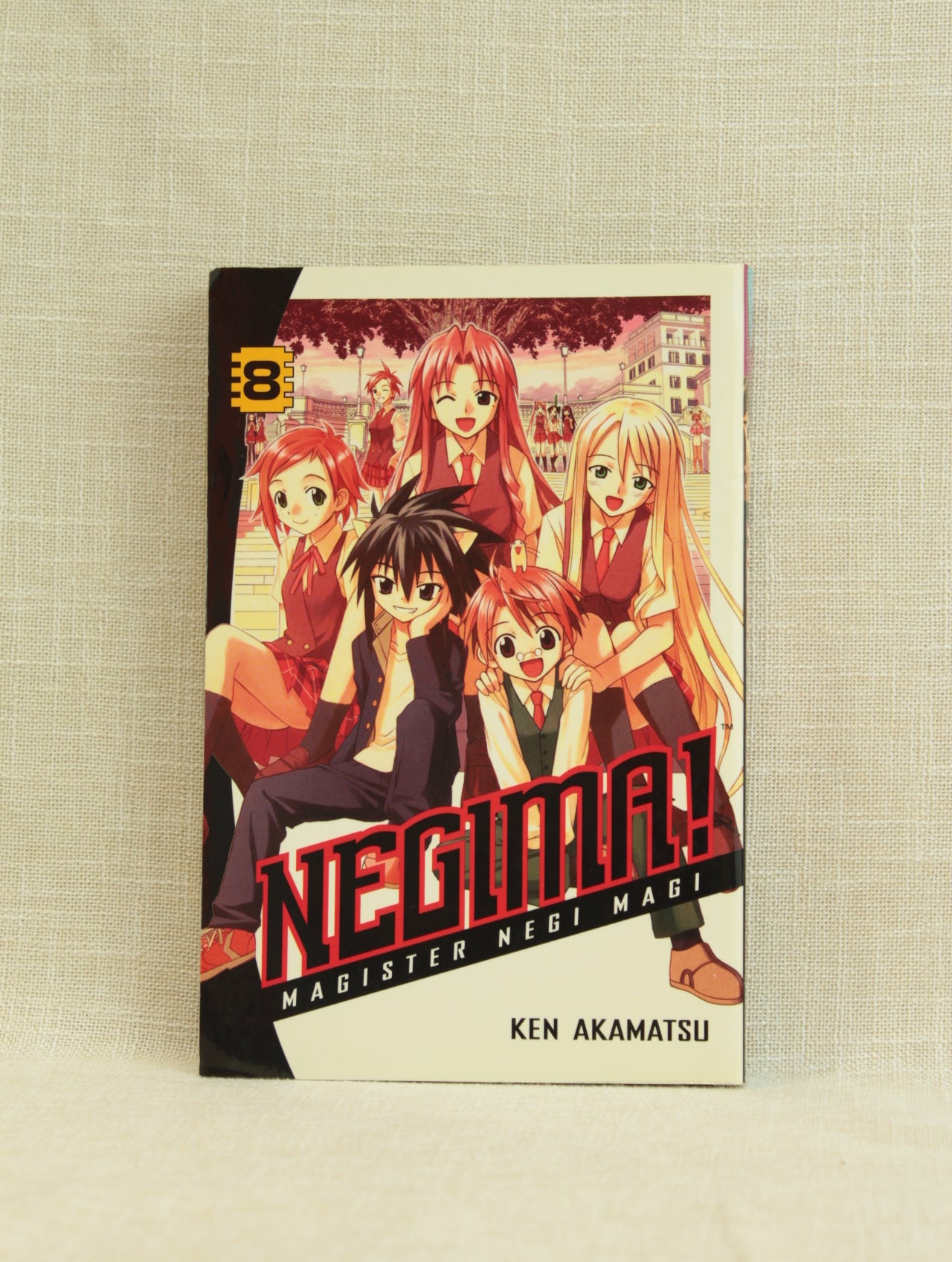 Negima! Magister Negi Magi 8