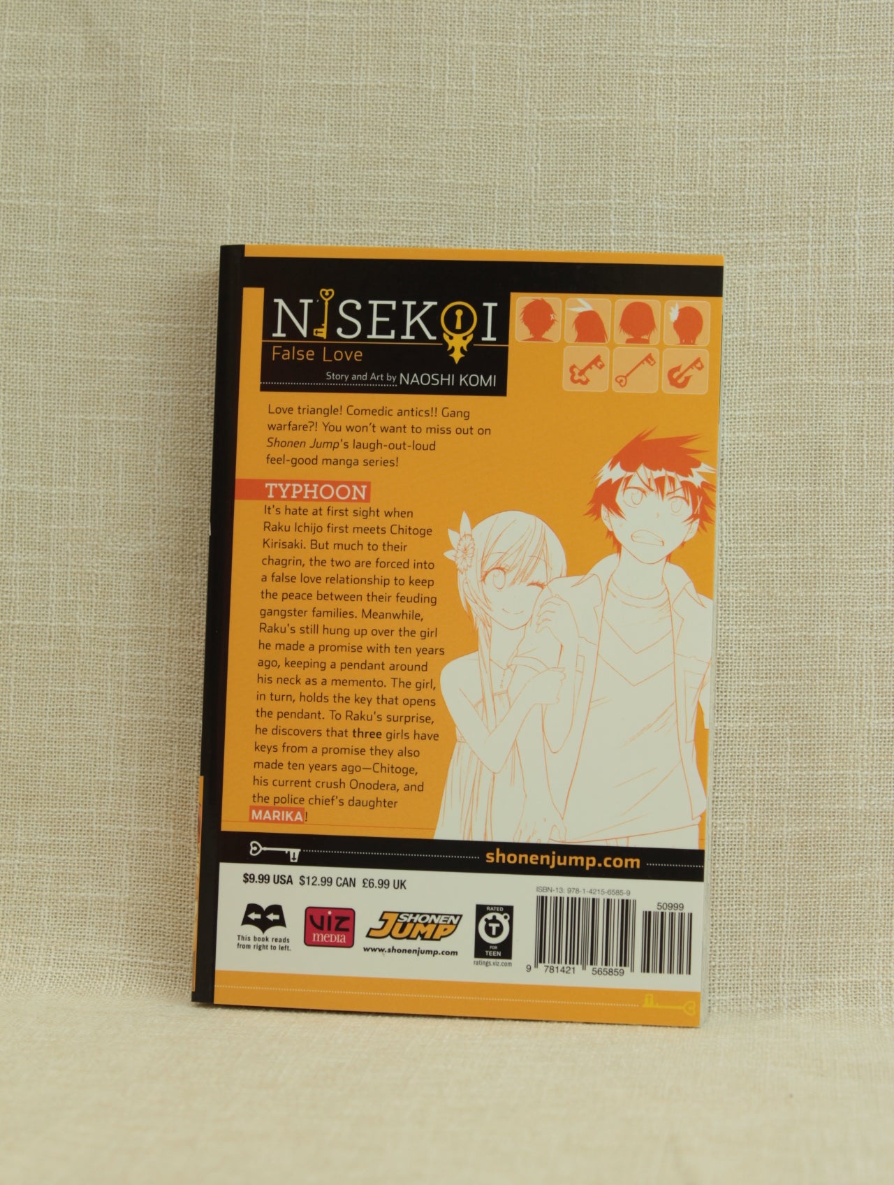 Nisekoi: False Love 5