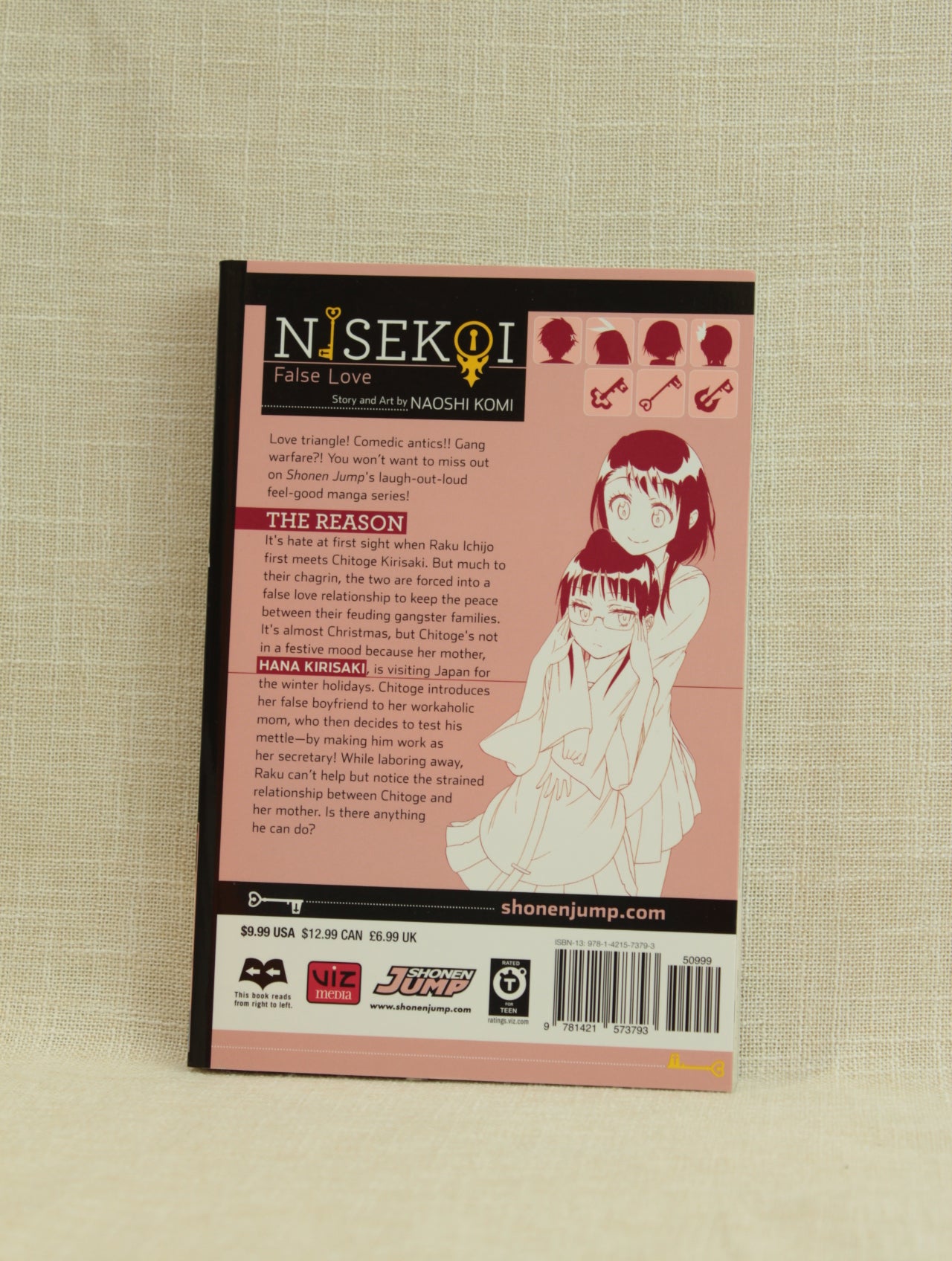 Nisekoi: False Love 7