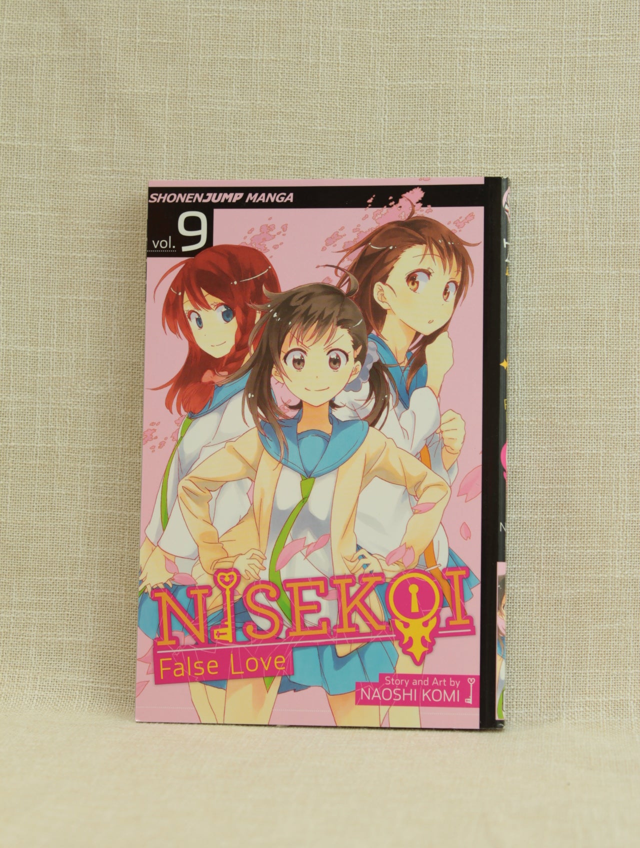 Nisekoi: False Love 9