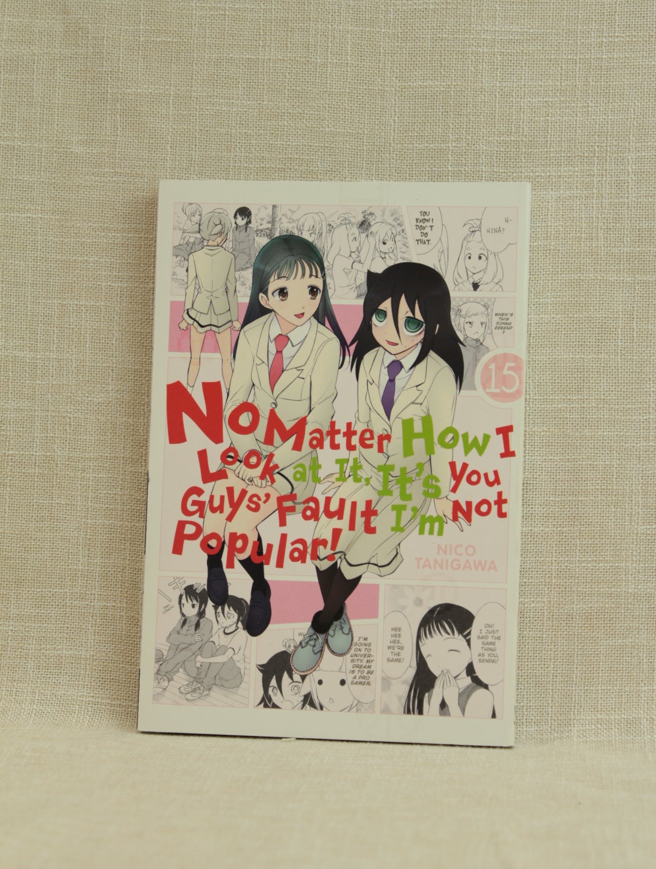 No Matter How I Look at it, It's Your Guys Fault I'm Not Popular 15