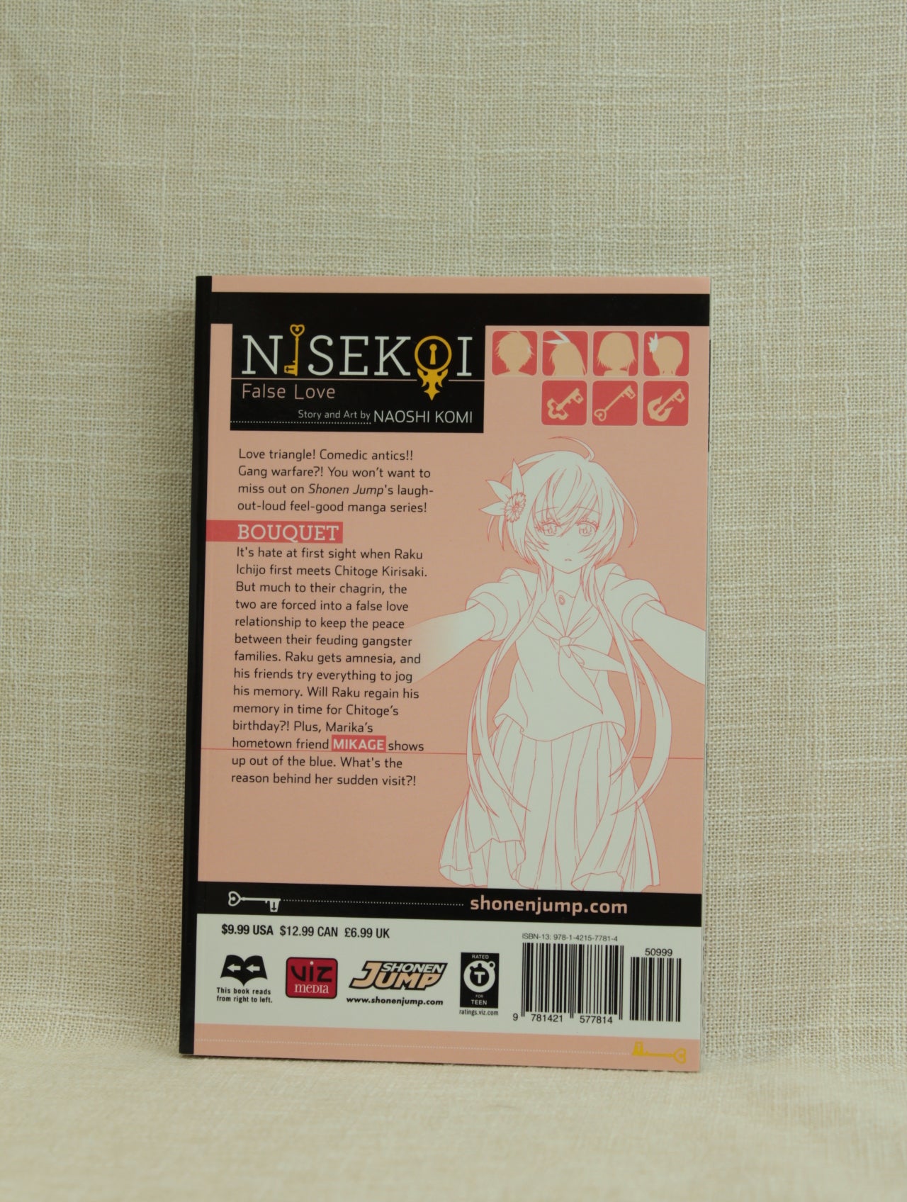 Nisekoi: False Love 11