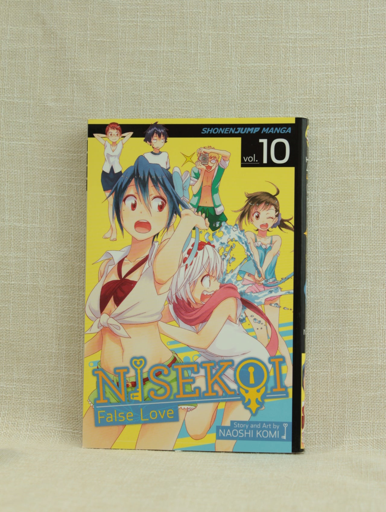 Nisekoi: False Love 10