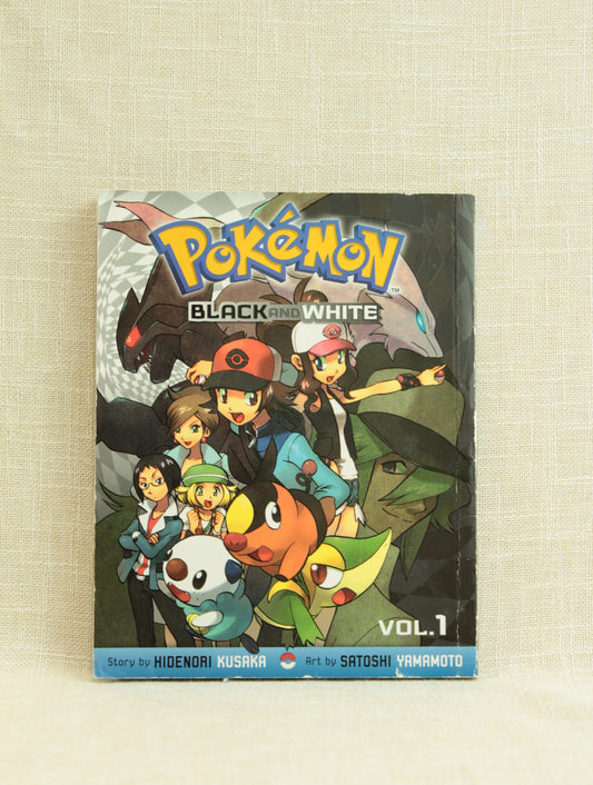 Pokemon Black and White 1