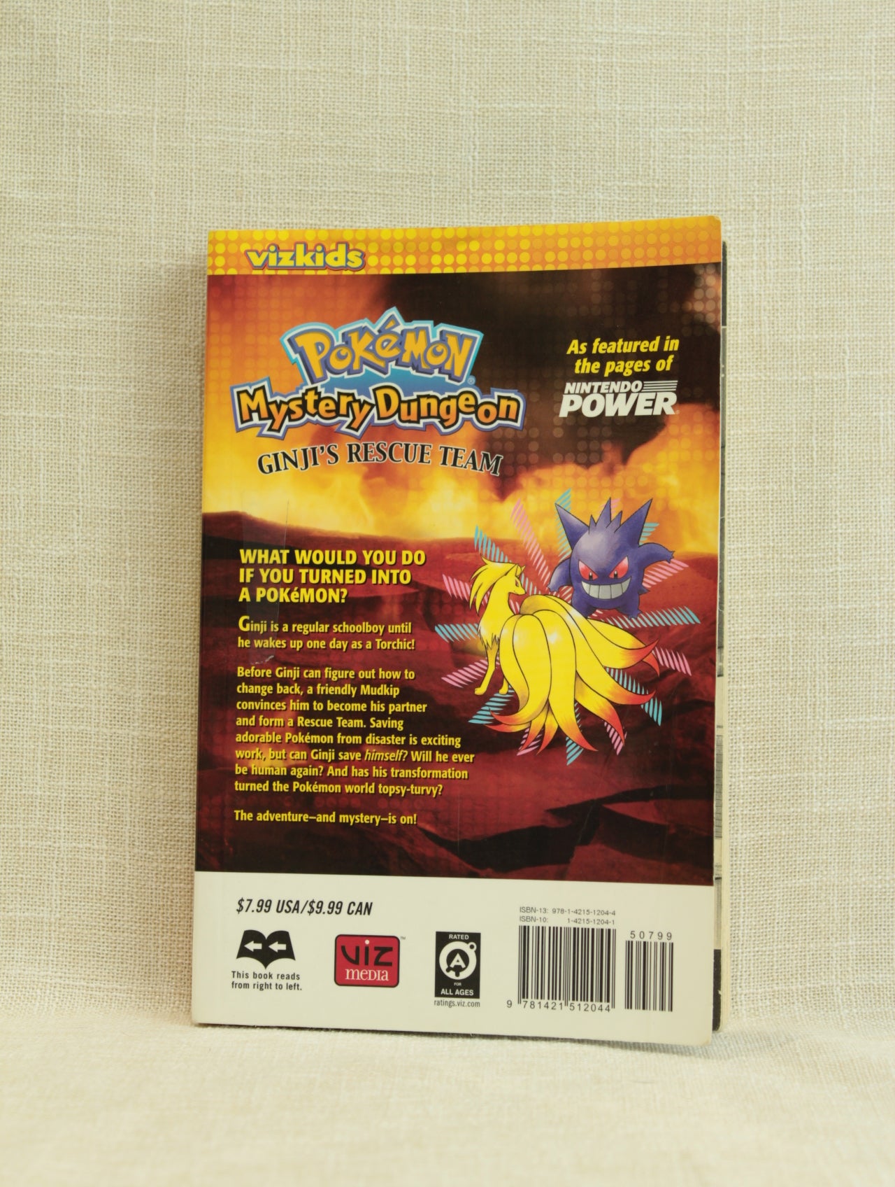 Pokemon Mystery Dungeon Ginji's Rescue Team