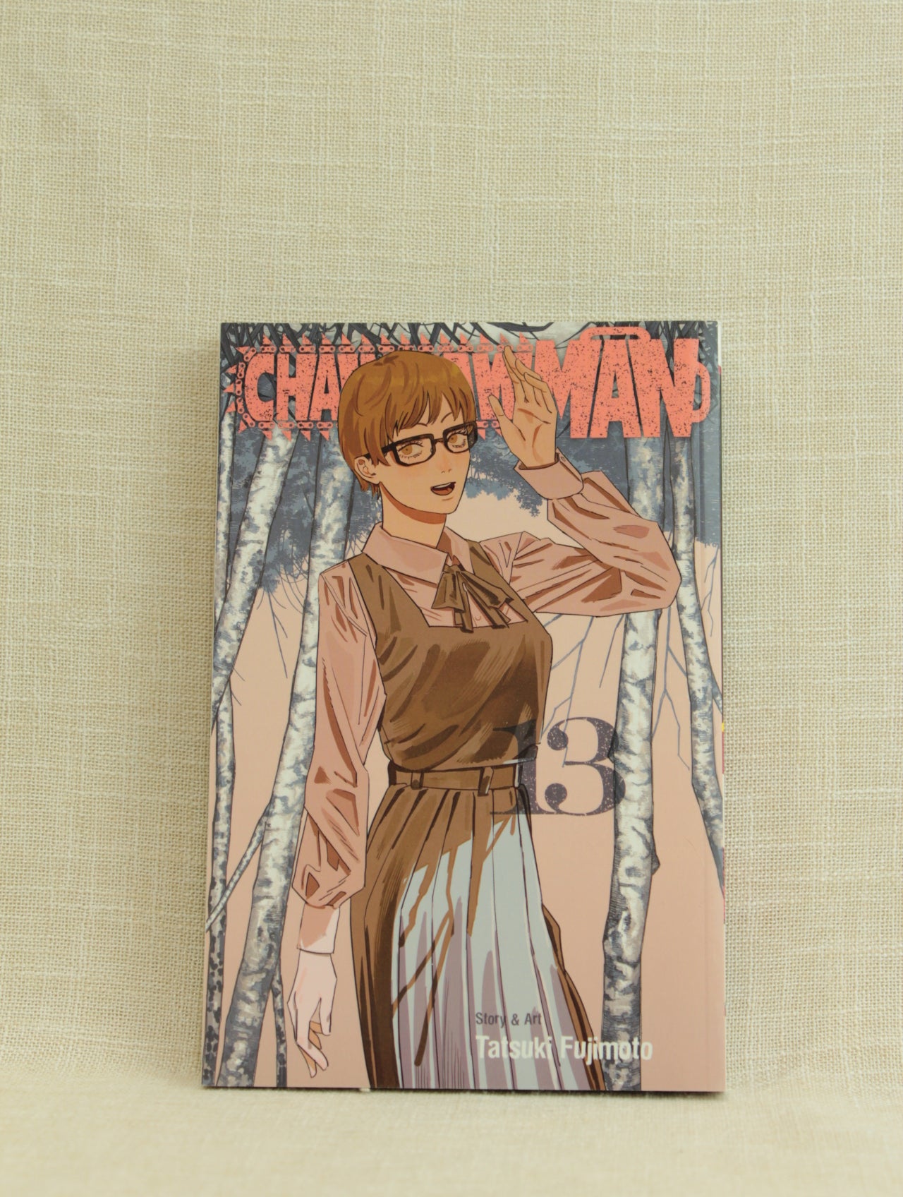 Chainsaw Man, Vol. 13