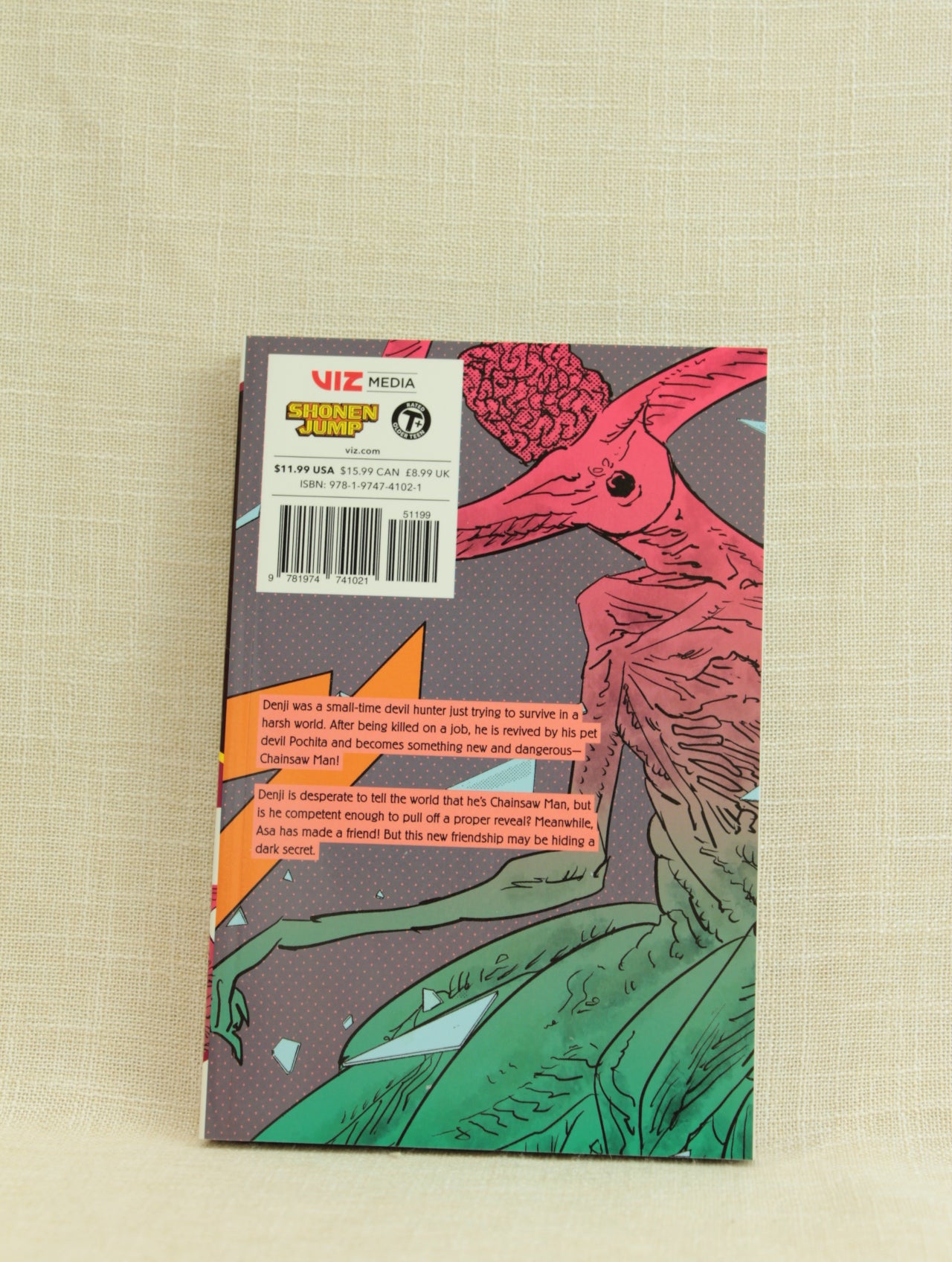 Chainsaw Man, Vol. 13