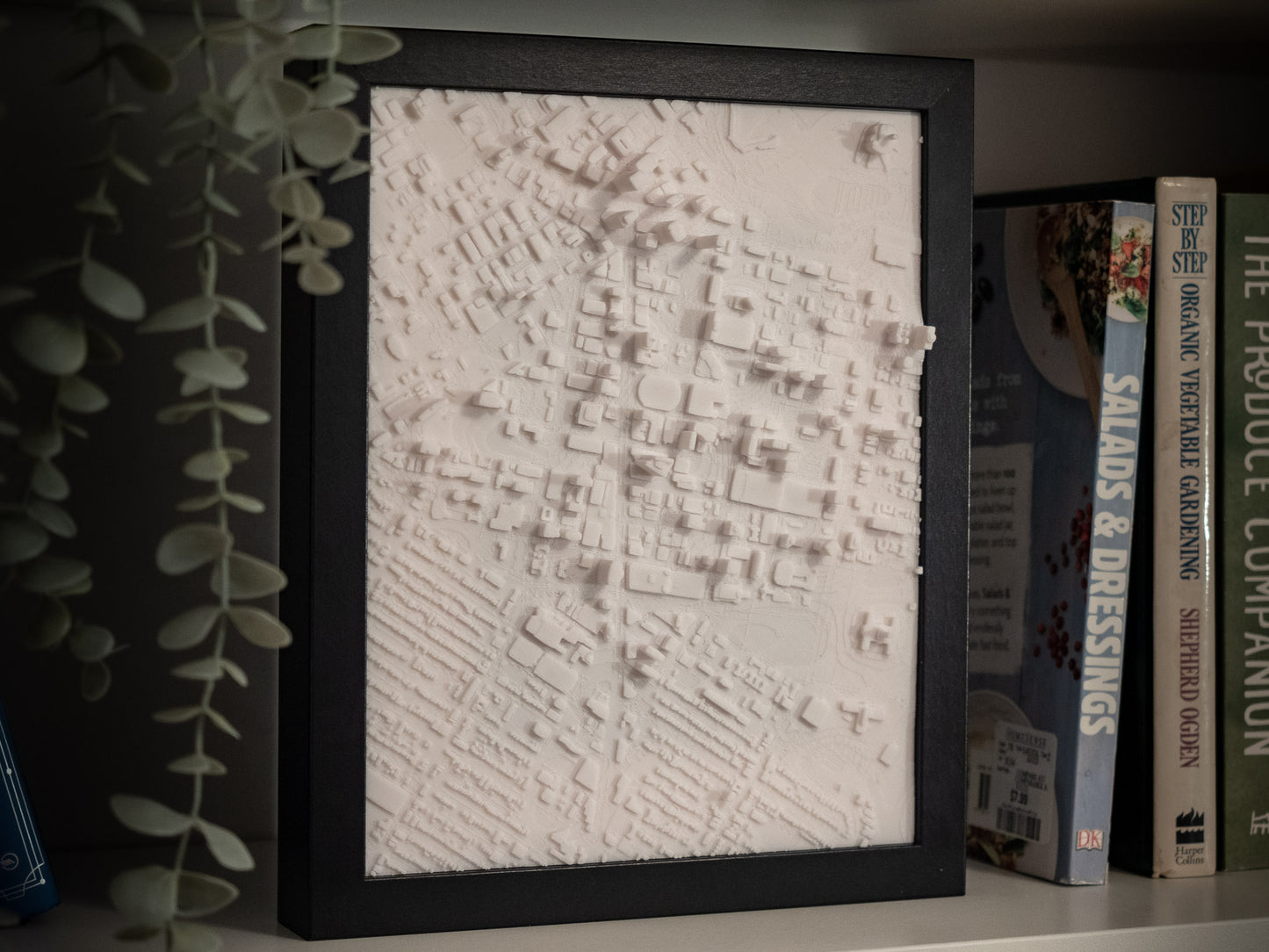 Winnipeg Downtown 3D Framed 25x20cm Map