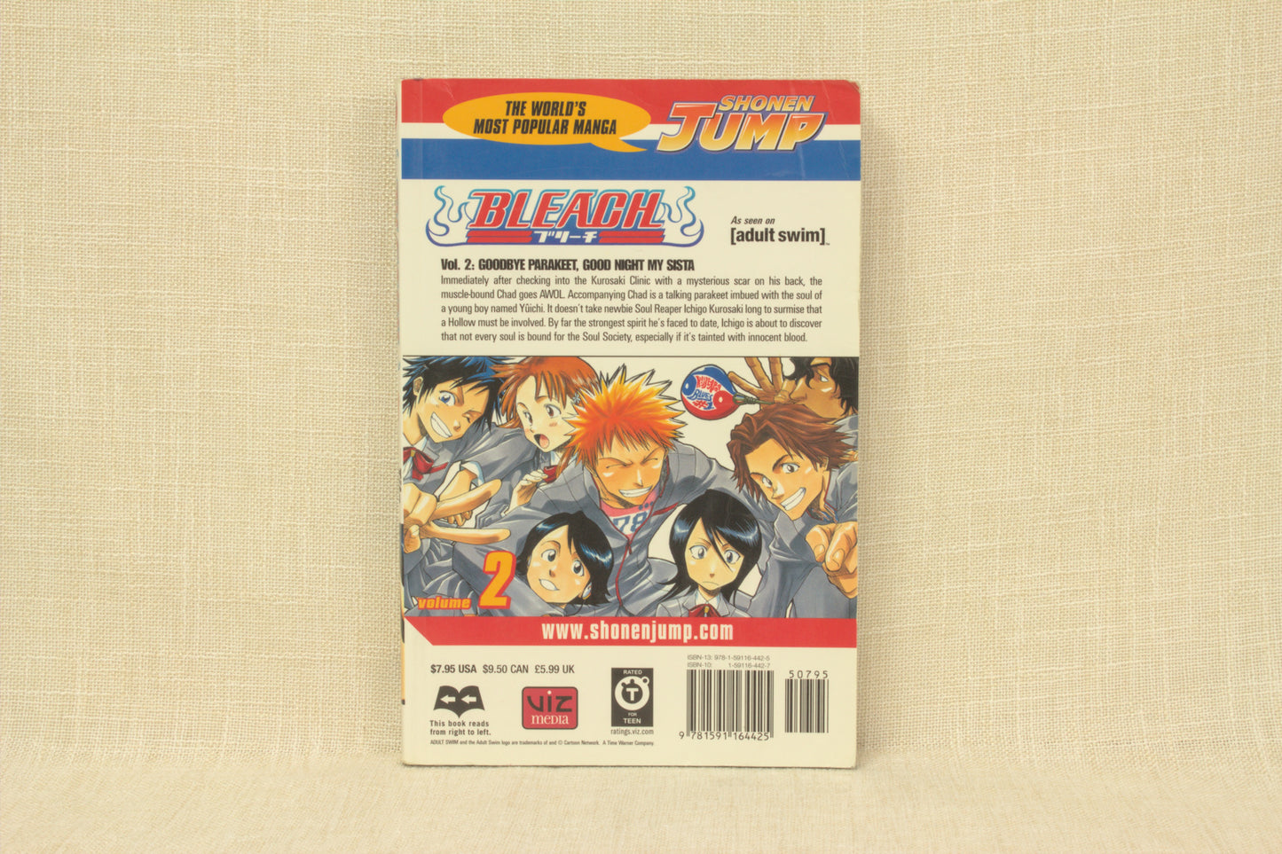 Bleach 2