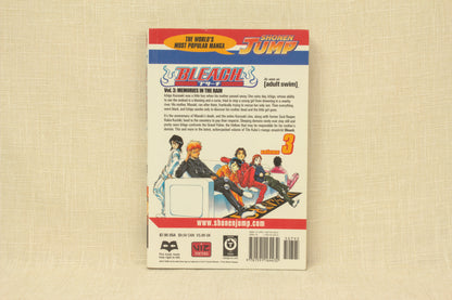 Bleach 3
