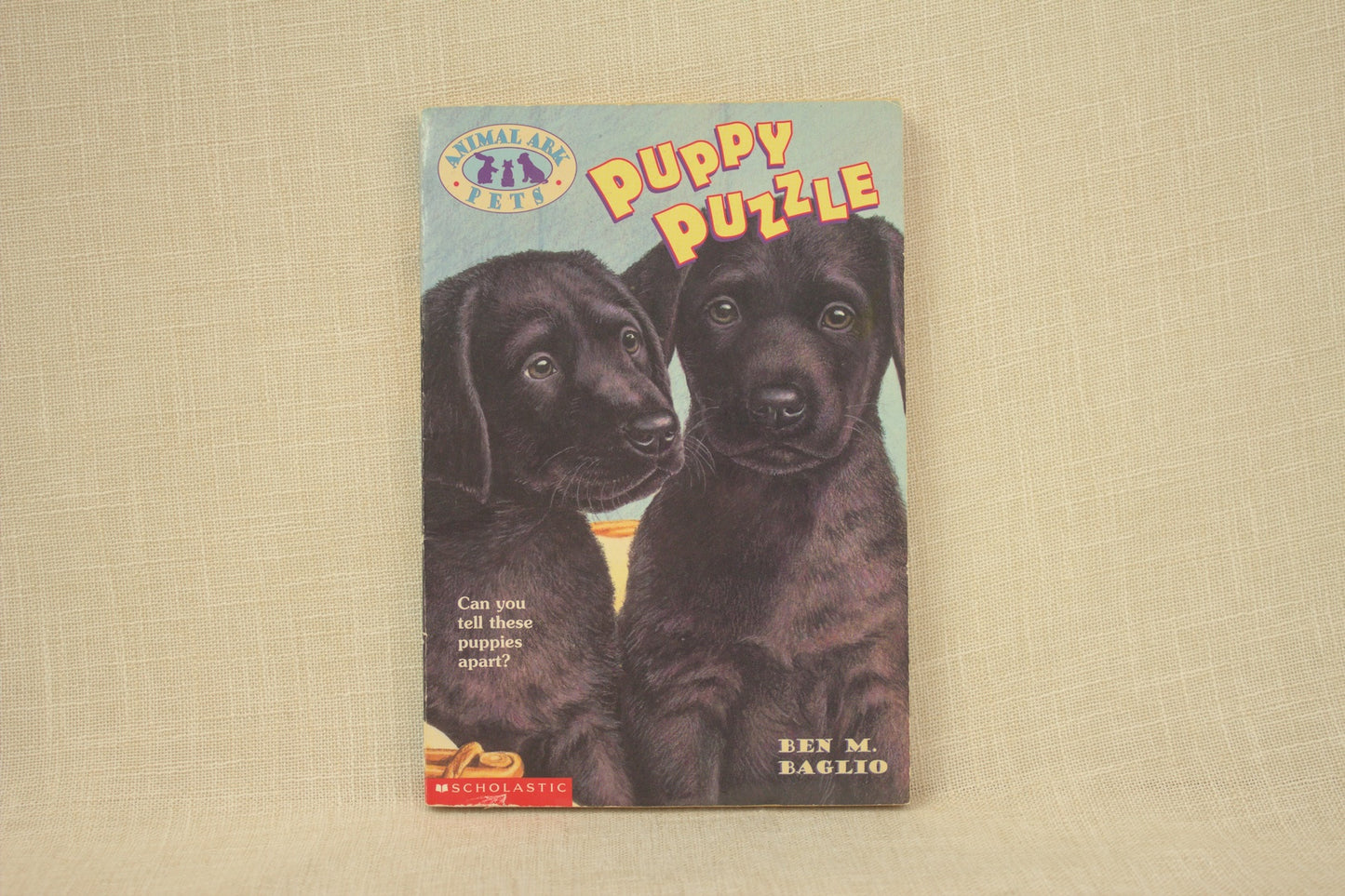 Puppy Puzzle (Animal Ark Pets, #1)