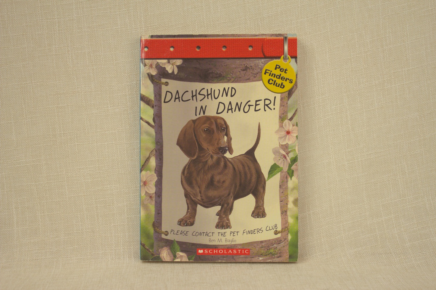 Dachshund In Danger! (Pet Finders Club, #8)