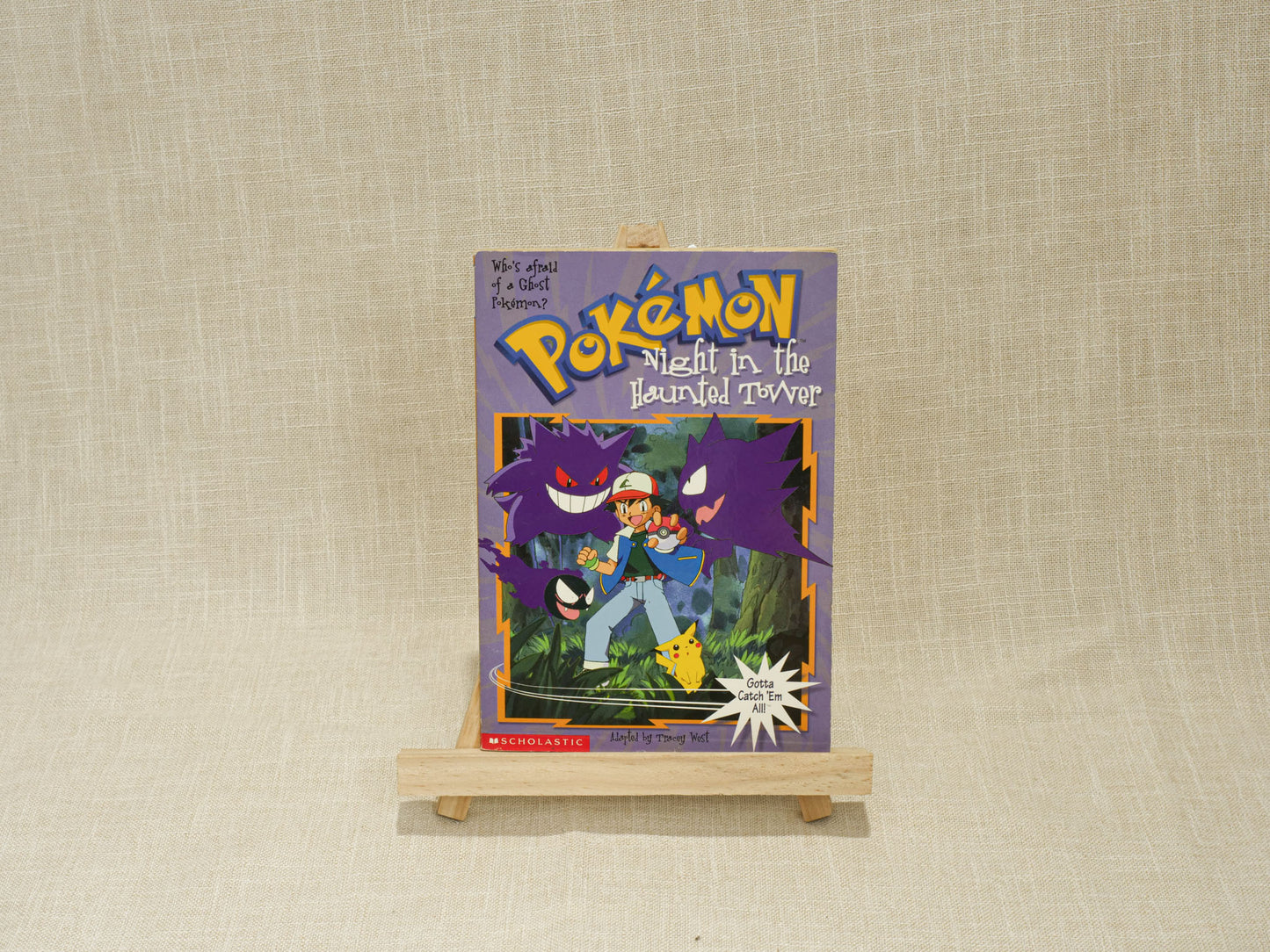 Pokemon Chapter Book #4 Night in the Haunted Tower