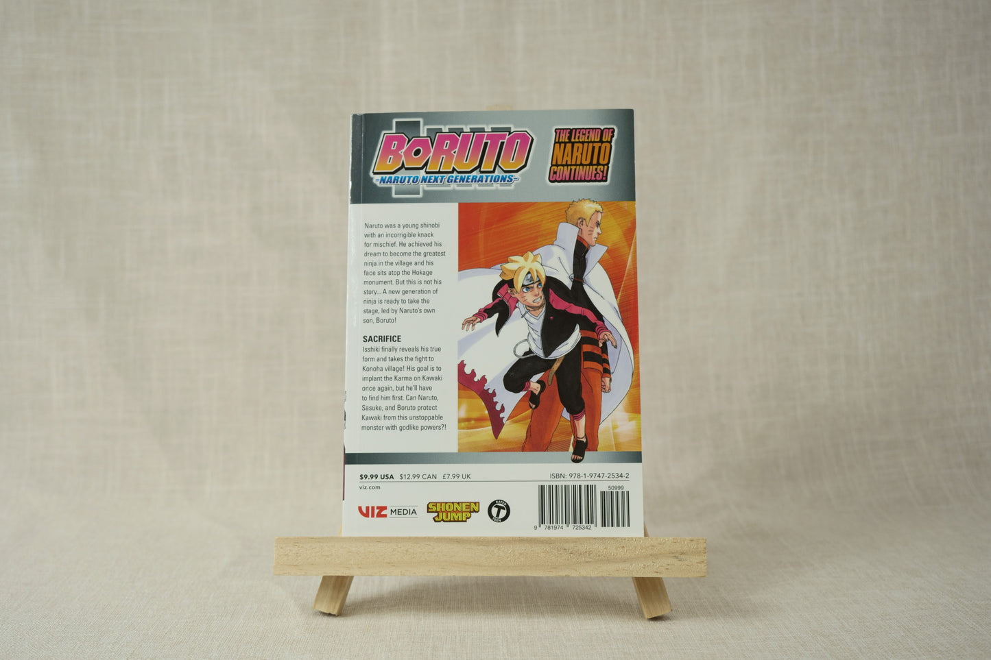 Boruto 13