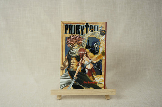 Fairy Tail 12