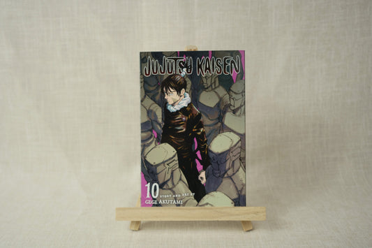 Jujutsu Kaisen 10