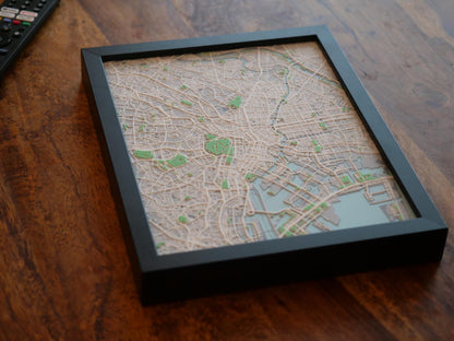 3D Tokyo Street Map - Framed